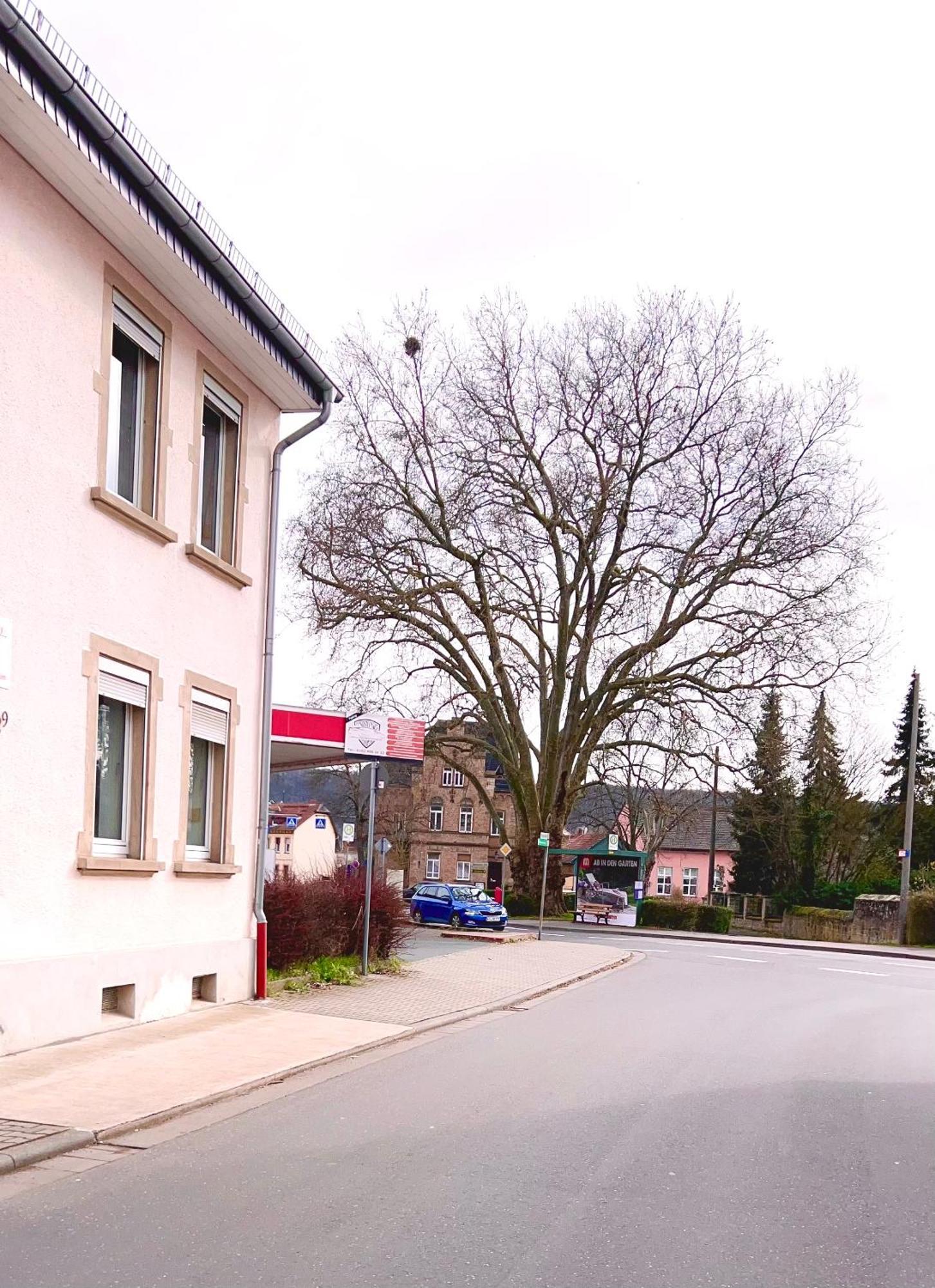Vinaring Homestay Bad Sobernheim Extérieur photo